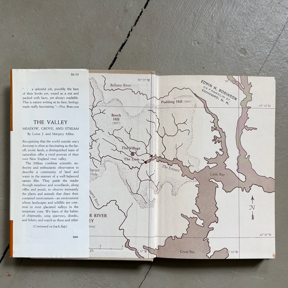 Signed 1963 The Valley Meadow Grove Stream Durham NH Oyster River New Hampshire - Picture 11 of 13